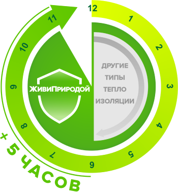Главная страница
