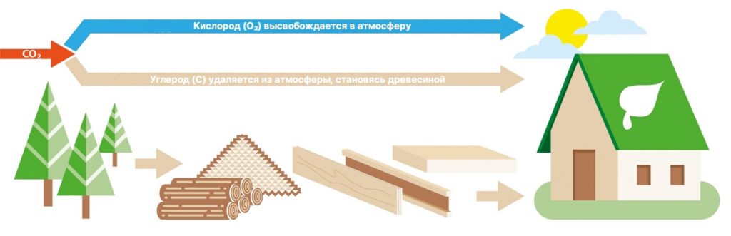 ЖивиПриродой и углеродный след