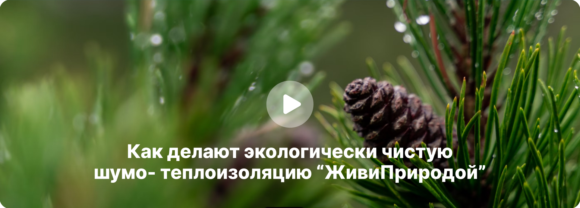Звукоизоляция